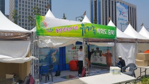 첨부 이미지